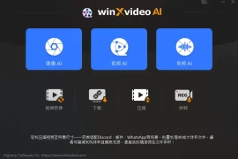 Winxvideo AI 