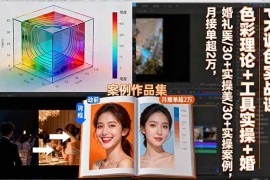 （16336期）PR调色实战课：色彩理论 工具实操 婚礼医美/30 实操案例，月接单超2万