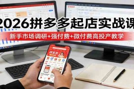 2026拼多多起店实战课：新手市场调研 强付费 微付费高投产教学