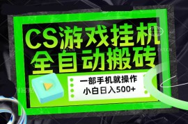 （17876期）CSGO游戏挂机捡漏搬砖，超稳定的项目，带领1000 小白实现日入500 ，数据可视频验证