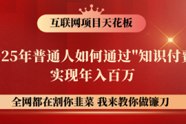 镰刀训练营超级IP合伙人，25年普通人如何通过“知识付费”年入百万！