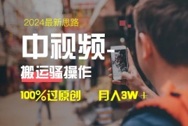 中视频新思路，双重去重100%过原创，一键分发多平台变现，简单无脑，日入1000 