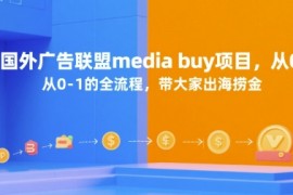 国外广告联盟media buy项目，从0-1的全流程，带大家出海捞金