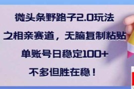 （14334期）微头条野路子2.0玩法之相亲赛道，无脑搬砖复制粘贴，单账号日稳定300 …