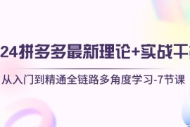 （10816期）2024拼多多 最新理论 实战干货，从入门到精通全链路多角度学习-7节课