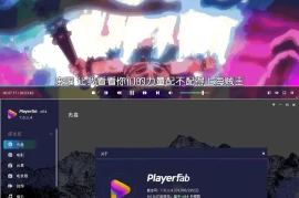 DVDFab Player 7.0.6.4中文版