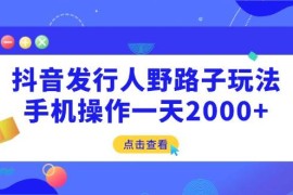 （14319期）抖音发行人野路子玩法，手机操作一天2000 