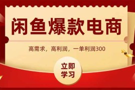 （15422期）闲鱼高利润电商，入门到出单只需3小时，每天利润1000 