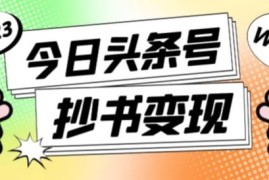 书冷门项目，操作简单，单号一天100 ，有人一个月变现1w ！（软件 教程 玩法）