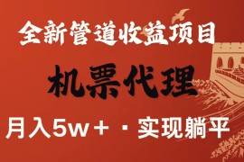 最新引流技术，当天上手，新手小白月入3w 