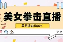 无人直播美女打拳单日收益500 ，收益稳定，快速变现，小白最适合做的项目，保姆式教学【揭秘】