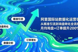 （16660期）阿里国际站数据化运营课-11月，从精准引流到询盘转化全流程，月均询盘 订单提升200%