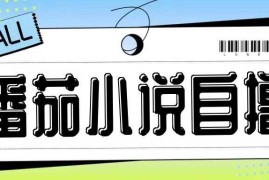最新番茄小说自撸玩法，无需手机，无需双清，成本极低日入200 【揭秘】