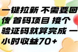 一键拉新 不需要回传 首码项目 接个验证码就算完成 一小时收益70 【揭秘】