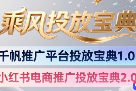小红书千帆推广平台投放宝典，小红书电商推广投放宝典2.0