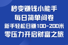 秒变赚钱小能手！每日简单问卷，新手也能轻松日赚100-200米，零压力开启财富之旅！