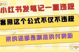 小红书发笔记一直违规，套用这个公式不仅不违规，来的还都是精准的付费粉