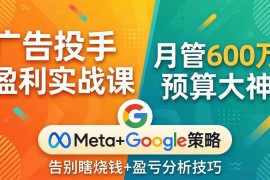 （17925期）广告投手盈利实战课：月管600万预算大神，带你告别瞎烧钱，Meta Google策略 盈亏分析