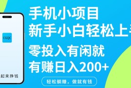 手机小项目新手小白轻松上手零投入有闲就有赚日入200 