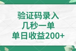 （14221期）验证码录入，几秒一单，单日收益200 