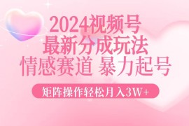 （12922期）2024最新视频号分成玩法，情感赛道，暴力起号，矩阵操作轻松月入3W 
