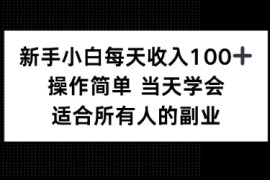 新手小白每天收入100 ，操作简单 当天学会 ，适合所有人的副业