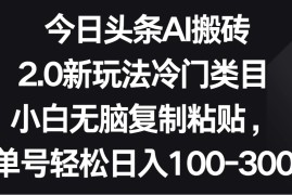 今日头条AI搬砖新玩法，冷门类目小白无脑复制粘贴，单号轻松日入100-300