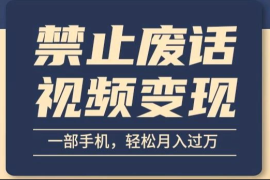 6月最新中视频禁止废话系列视频制作教程，全新蓝海玩法