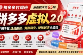 《拼多多打爆班》原创技术第65期，拼多多虚拟2.0，手把手教选品搬款、测款裂变、矩阵起店全流程