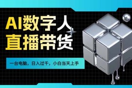 AI数字人直播带货风口已来，一台电脑在家日入过千，小白当天上手的赚钱技能