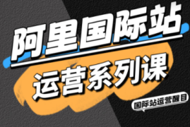 醒目老师·阿里国际站运营系列课(更新11月)