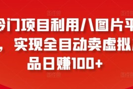 冷门项目利用八图片平台，实现全目动卖虚拟产品日赚100 【揭秘】