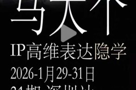 马大个《IP高维表达》全套12800线下大课笔记，手把手教你打造个人IP