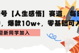 蝴蝶号人生感悟赛道，每日10分钟，爆款10w ，零基础可入