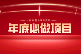 年底必做项目，每个公司的刚需，0 成本变现，日入 300 （揭秘）