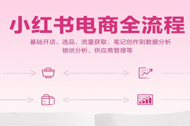 小红书电商全流程，基础开店、选品、流量获取、笔记创作到数据分析、供应商管理等