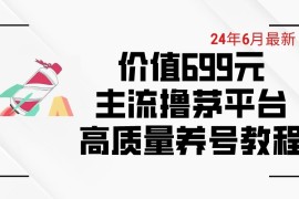 6月最新，价值699的主流撸茅台平台，精品养号下车攻略