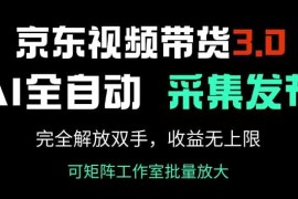 京东视频带货3.0，Ai全自动采集 自动发布，完全解放双手，收入无上限