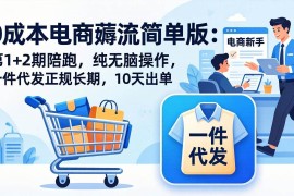 （17880期）0成本电商薅流简单版：第1 2期陪跑，纯无脑操作，一件代发正规长期，10天出单
