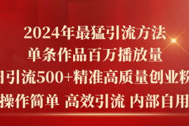 （10920期）2024年最猛暴力引流方法，单条作品百万播放 单日引流500 高质量精准创业粉