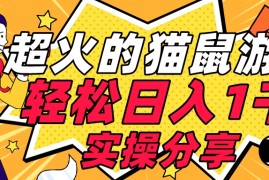 全网超火的猫鼠游戏，轻松日入 1K 的线下游戏（附素材）