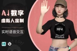 Ai数字人虚拟(智能体)实时语音交互特训营，自行定制超写实角色AI数字人交互技术