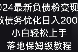 2024最新负债粉变现，靠做债务优化日入2000＋小白轻松上手 落地保姆级教程