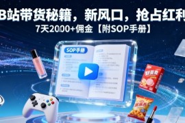 B站带货秘籍，新风口，抢占红利，7天2k 佣金【附SOP手册】