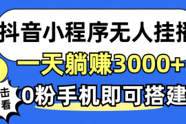 （12988期）抖音小程序无人直播，一天躺赚3000 ，0粉手机可搭建，不违规不限流，小…