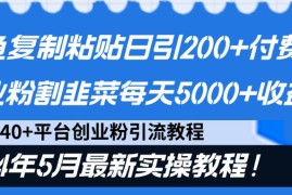 闲鱼复制粘贴日引200 付费创业粉，24年5月最新方法！割韭菜日稳定5000 收益