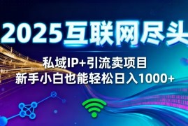 2025网创尽头王炸项目！私域 IP   精准引流，新手小白在家躺赚日入 1000 