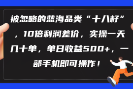 （10696期）被忽略的蓝海品类“十八籽”，10倍利润差价，实操一天几十单 单日收益500 