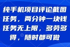 纯手机项目评论截图任务，两分钟一块钱 任务无上限多劳多得，随时随地都能做【揭秘】