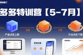 多多特训营【5-7月】产品决定上限，方法决定下限，各种玩法技巧落地实操